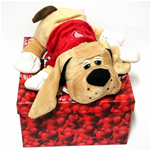 Cane Steso 25 cm Scatola con cuore Peluche