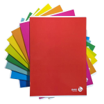 BM Color Basic Quaderno A4 | Quadretto 5mm con Margine (Q)