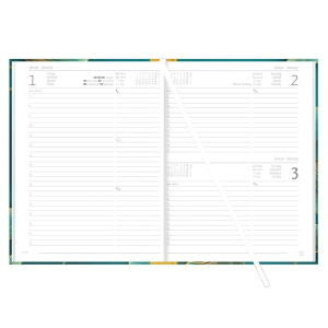 Alpha Edition Agenda Giornaliera 2027 Style Ginkgo Multilingue